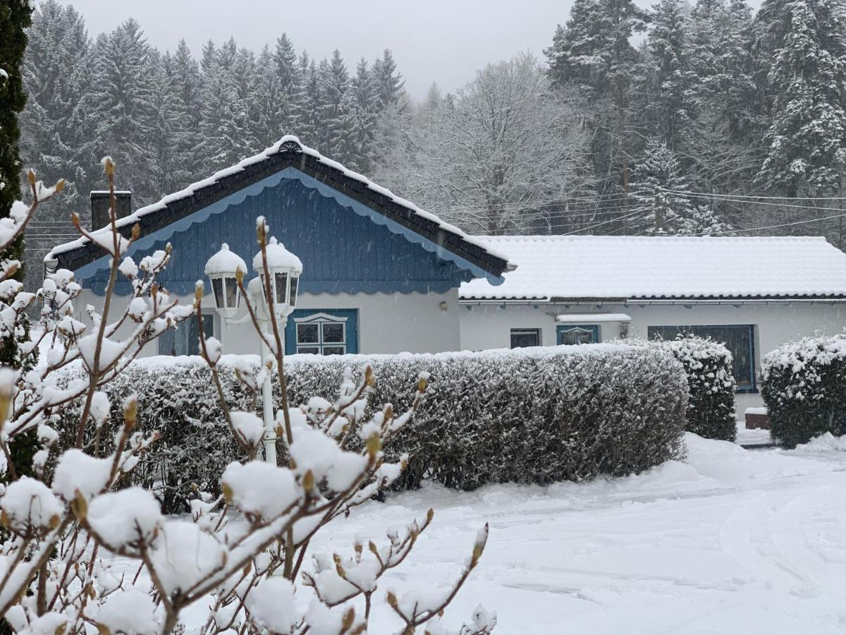 Ferienhaus Nadine Bad Brambach Exterior foto