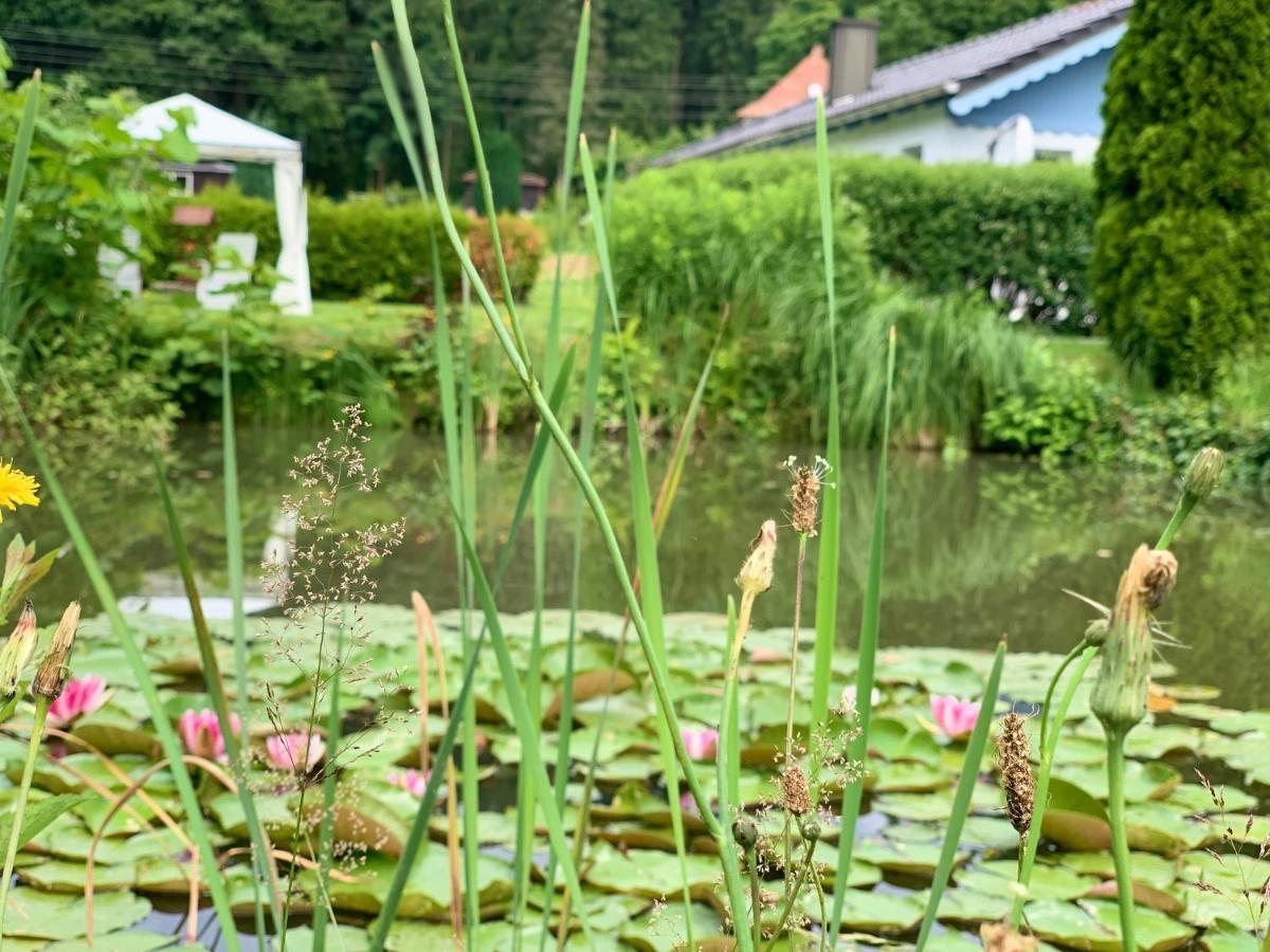 Ferienhaus Nadine Bad Brambach Exterior foto