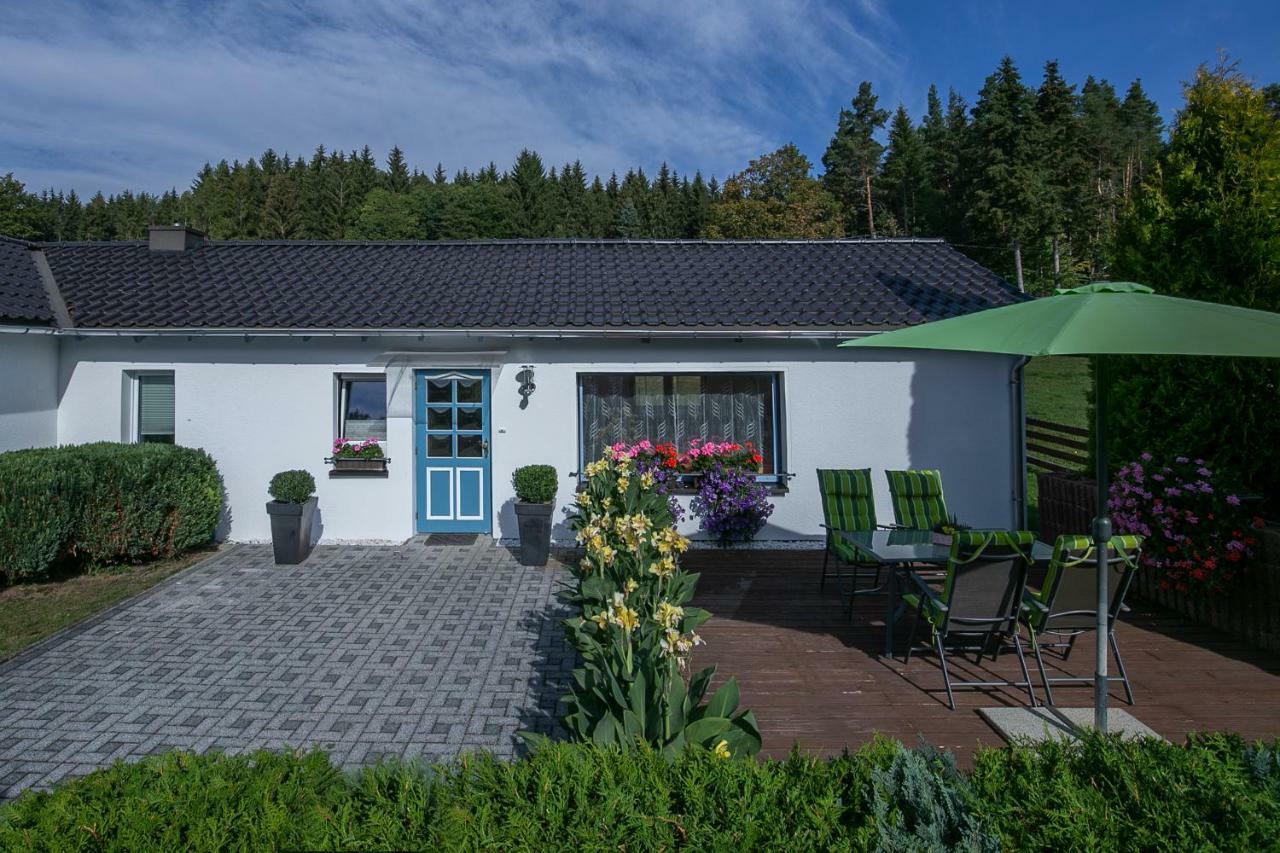 Ferienhaus Nadine Bad Brambach Exterior foto